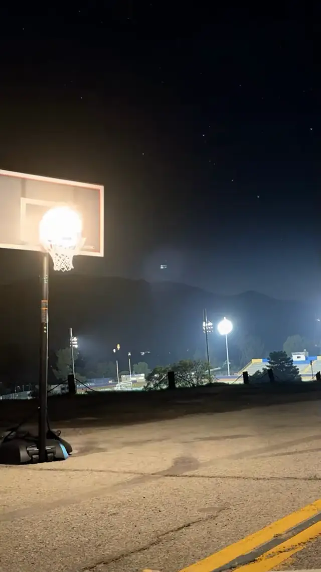 Sun dunk 