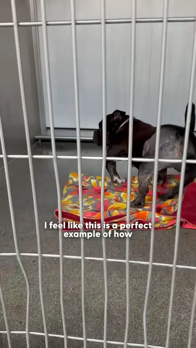 Once Sharon was out of the shelter, her whole personality came alive ...