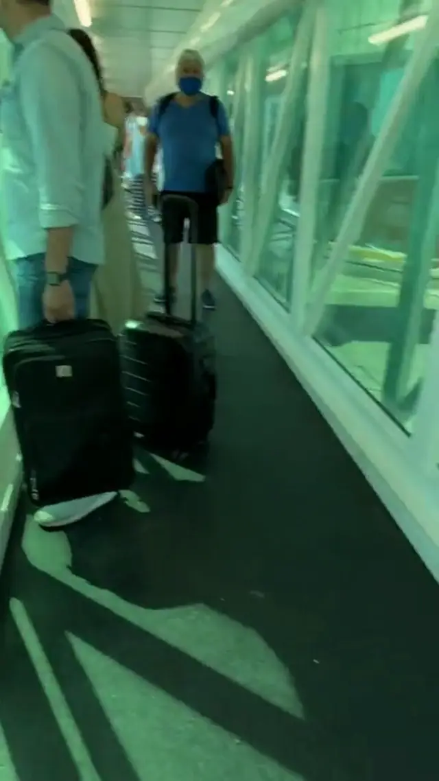 Dog Escapes From Baggage Handlers on Airport Tarmac