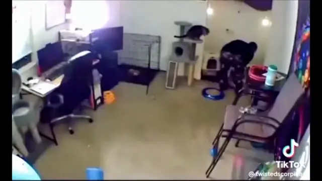 When Nature Attacks #2