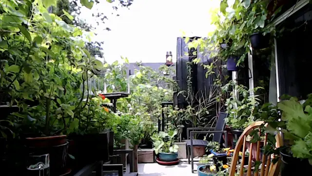 Our Patio Garden [ASMR]