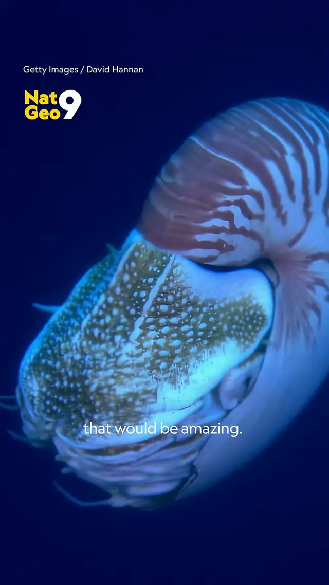 Maynard Okereke (@hiphopscienceshow) knows a lot about the ocean, but...