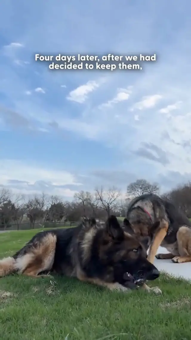 She was ready to adopt them both when a message suddenly came in 🥹 @M...