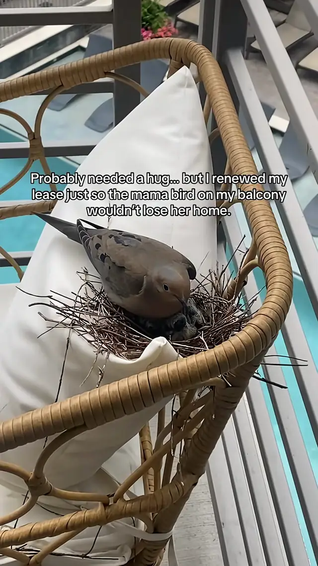 Women protecting women 🤝 🐦 @Ninah Rumman 