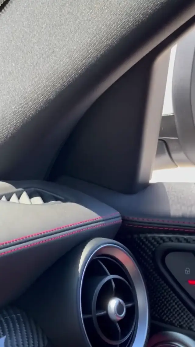 Guy Driving with Pet Snake in Chicago