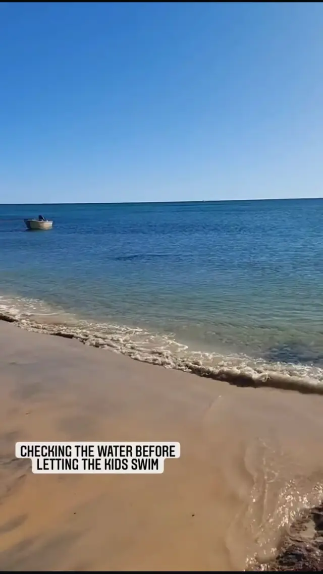 Shark swims insanely close to the shore