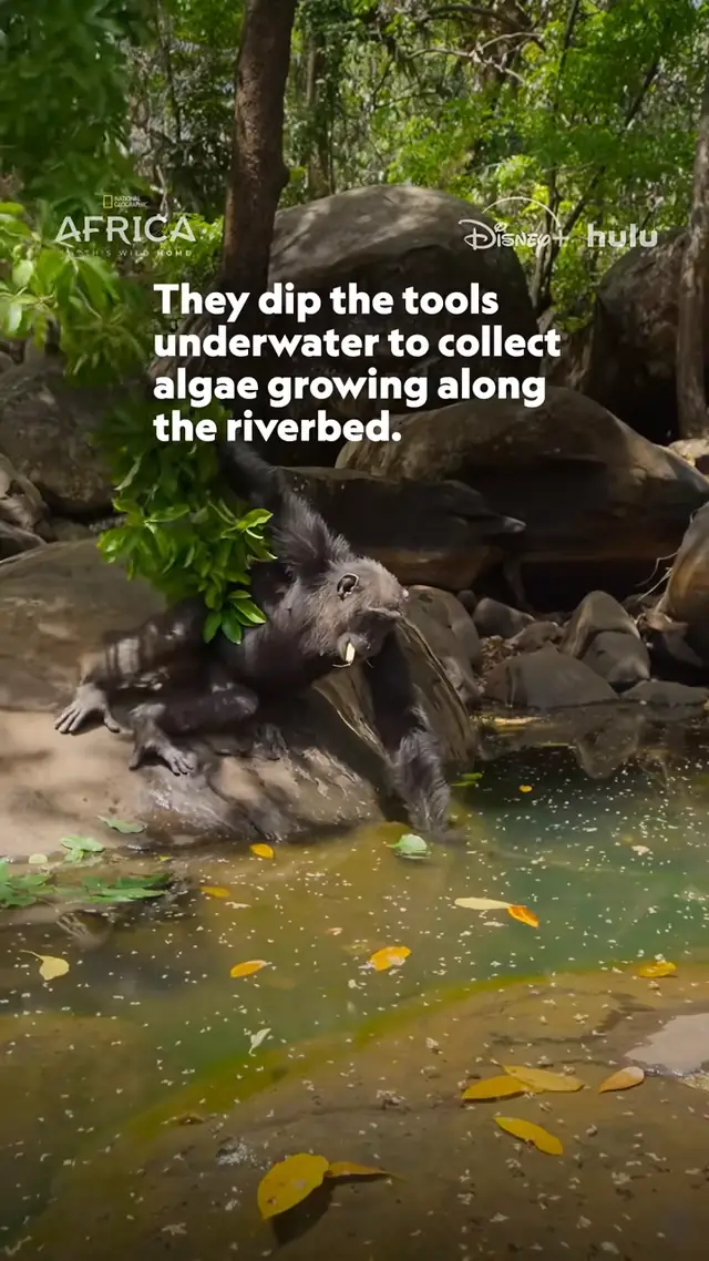 Presented by @ROLEX. A simple branch becomes a fishing rod in the han...