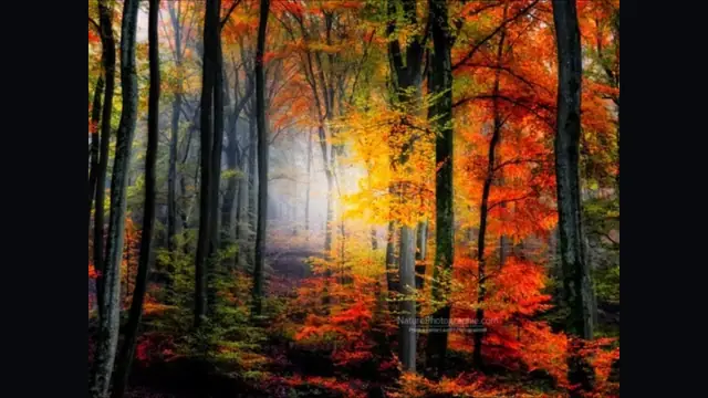 Amazing Photos