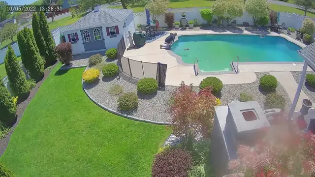 Man Jumps Into Pool To Rescue His Dog