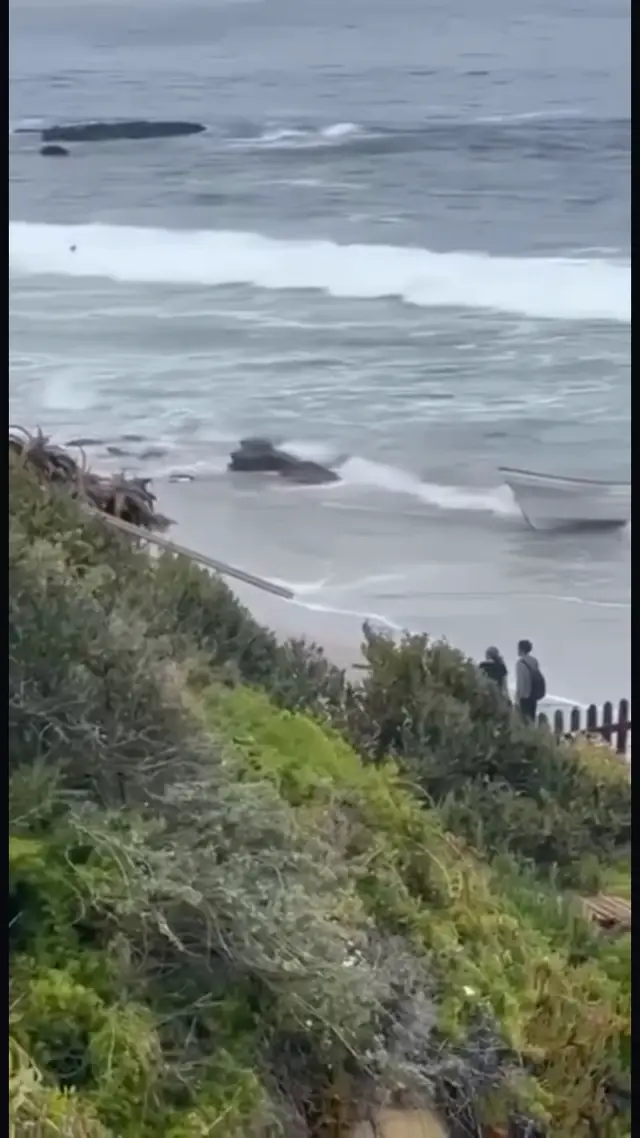 Laguna Beach, California: Illegal Immigrants Mirror Invasion Of Europe