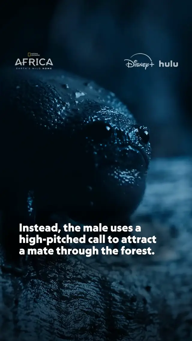 Presented by @ROLEX. He’s spent six months underground, and now he’s ...