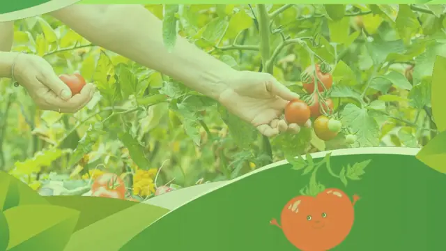 My Vegetable Garden - Project for Proshow Producer